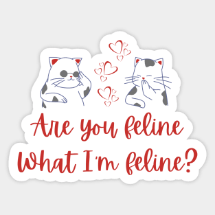 Are you feline what I'm feline? Sticker